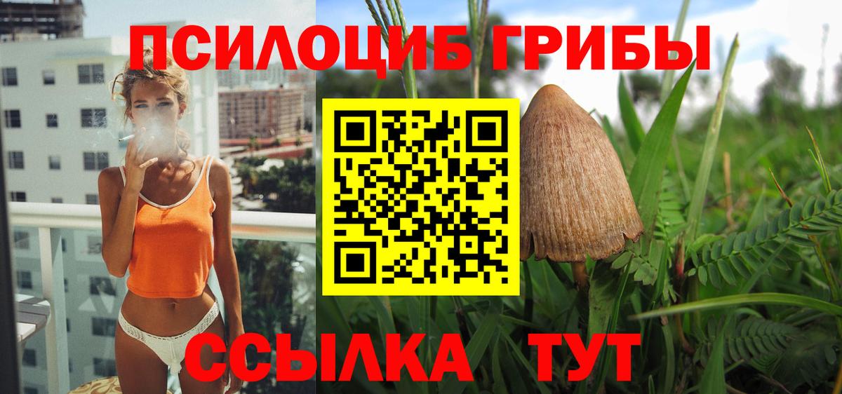 Галлюциногенные грибы Psilocybine cubensis  Вход с VPN  Краснокаменск  Псилоцибиновые грибы MAGIC MUSHROOMS 