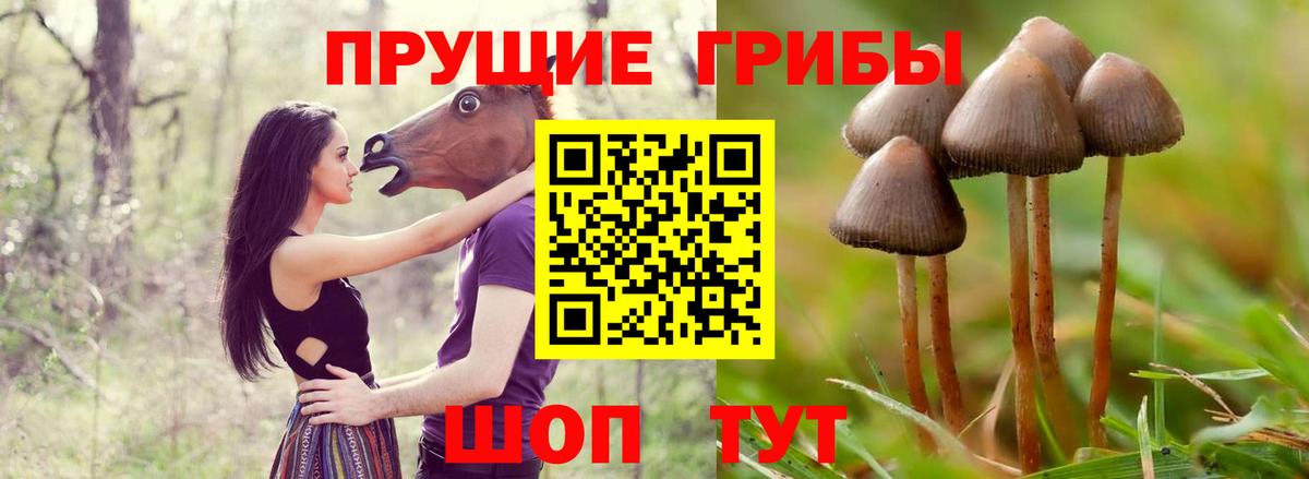 Галлюциногенные грибы GOLDEN TEACHER Краснокаменск